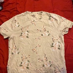 Hollister Crew Neck T shirt